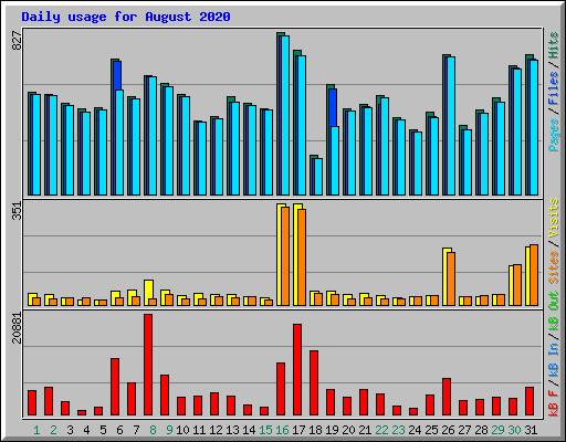 Daily usage for August 2020