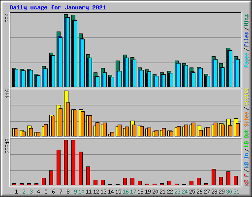 Daily usage for January 2021