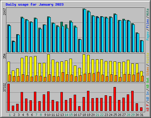 Daily usage for January 2023