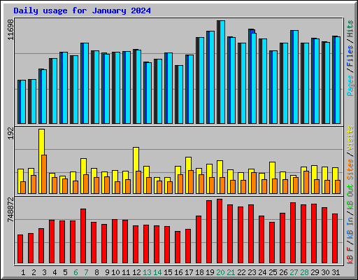 Daily usage for January 2024