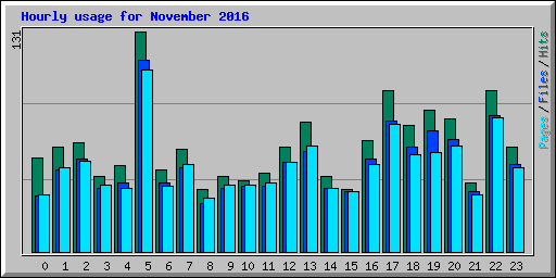 Hourly usage for November 2016