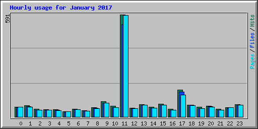 Hourly usage for January 2017