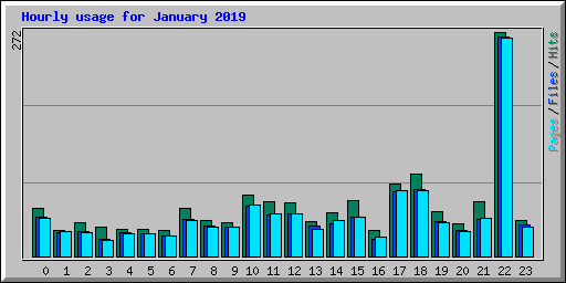 Hourly usage for January 2019