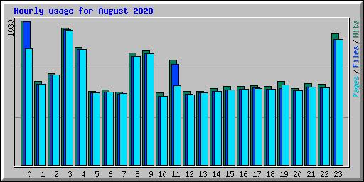 Hourly usage for August 2020