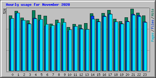 Hourly usage for November 2020