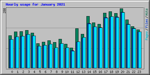 Hourly usage for January 2021