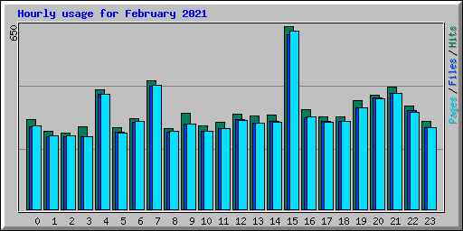 Hourly usage for February 2021