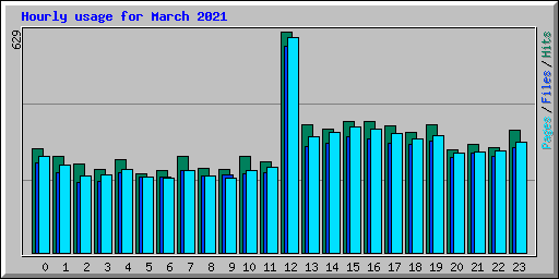 Hourly usage for March 2021