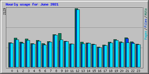 Hourly usage for June 2021