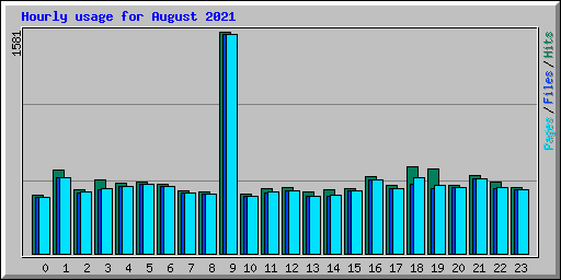 Hourly usage for August 2021