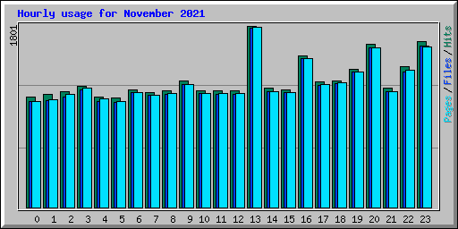 Hourly usage for November 2021