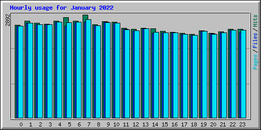 Hourly usage for January 2022