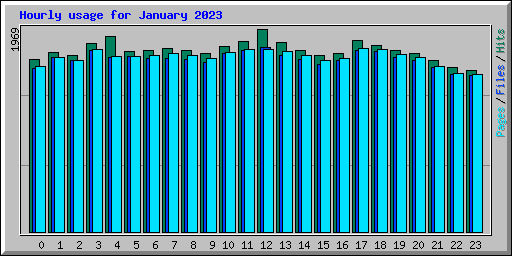 Hourly usage for January 2023