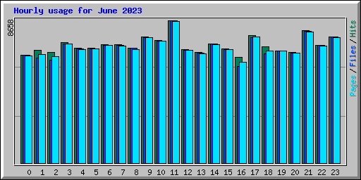 Hourly usage for June 2023