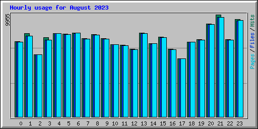 Hourly usage for August 2023