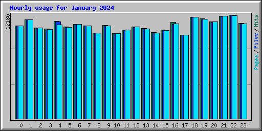 Hourly usage for January 2024