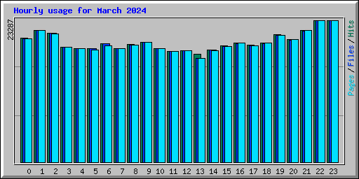 Hourly usage for March 2024