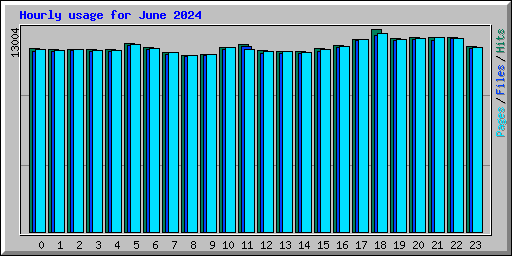 Hourly usage for June 2024