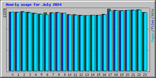 Hourly usage for July 2024