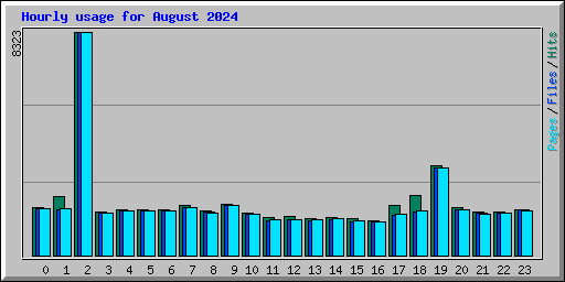 Hourly usage for August 2024