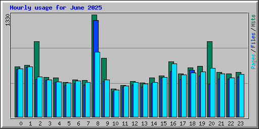 Hourly usage for June 2025