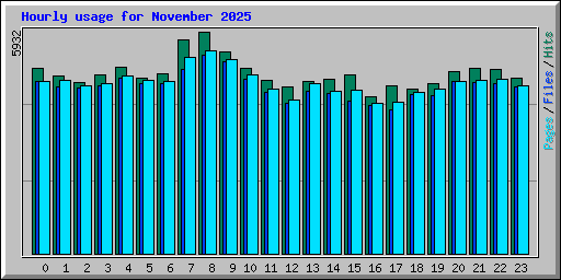 Hourly usage for November 2025
