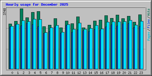 Hourly usage for December 2025